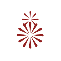 logoIcon